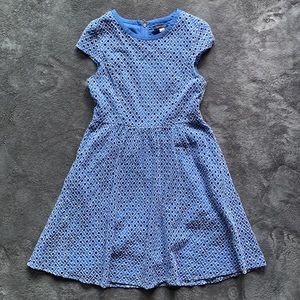 TOMMY HILFIGER | NWOT Light Blue and White Lattice A-line Dress | US 8 - Medium